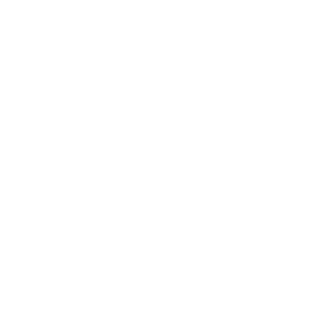 https://numaorbis.hr/wp-content/uploads/2018/05/gemini.png